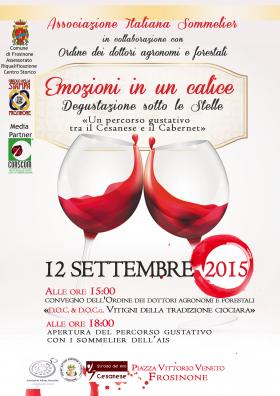 Emozioni in un calice – Degustazione sotto le st