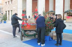 Gli alberi di Natale di piazzale Vittorio Veneto a