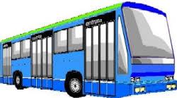 bus