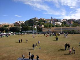 Parco del Matusa: in migliaia al Green Day.