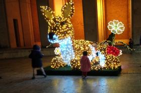 Luminarie