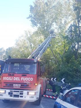 decoro