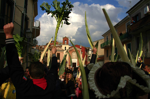 radeca