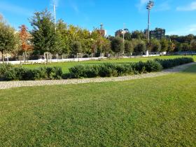 alberi