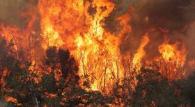 incendi