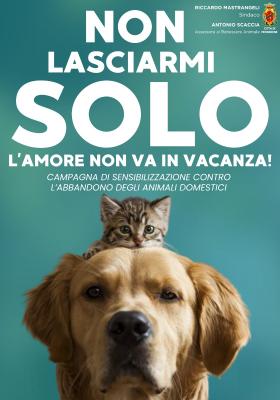 abbandono animali